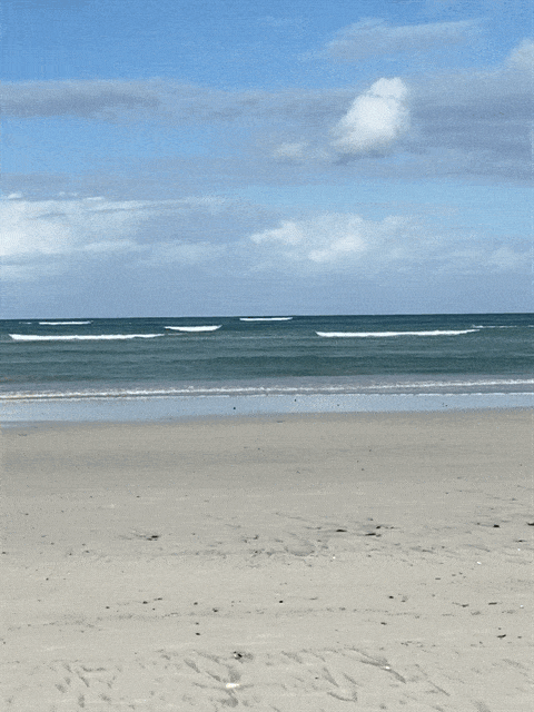Image Three